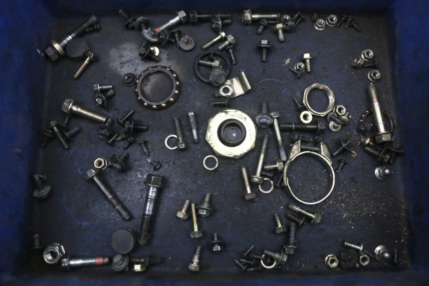 photo de SACCHETTO VITI VITE KYMCO AGILITY FR 2T 50 (2012 - 2017) - Vista principale