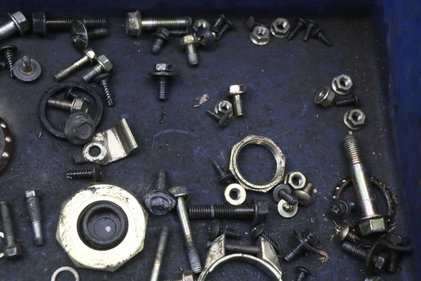 photo de SACCHETTO VITI VITE KYMCO AGILITY FR 2T 50 (2012 - 2017) - Zoom sullo stato d'uso