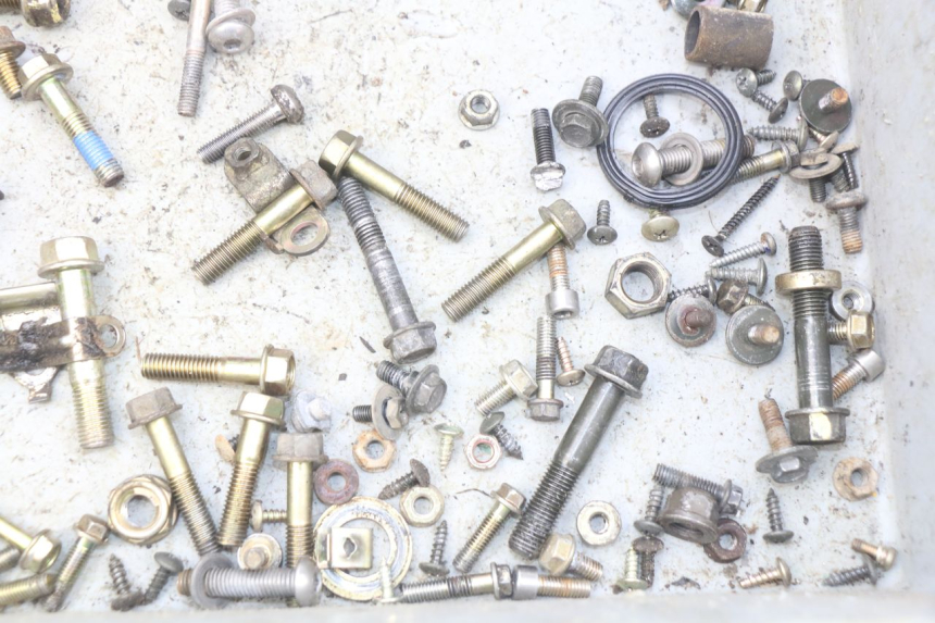 photo de SAC VITI BULLONE KYMCO AGILITY RS 2T 50 (2009 - 2013) - Altra angolazione