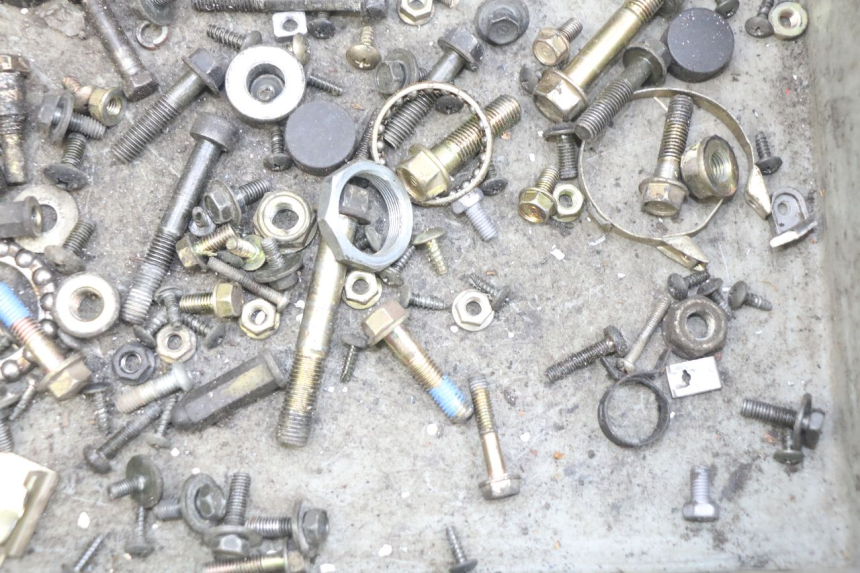 photo de SAC VITI BULLONI KYMCO AGILITY RS 4T 50 (2009 - 2013) - Zoom sullo stato d'uso