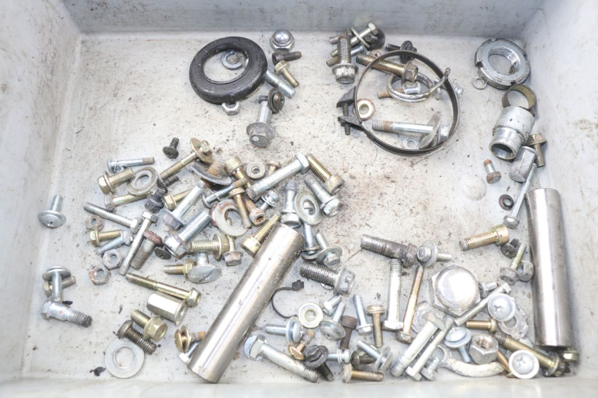 photo de SACCHETTO VITI VITE HYOSUNG AQUILA GV 125 (2009 - 2016) - Vista principale