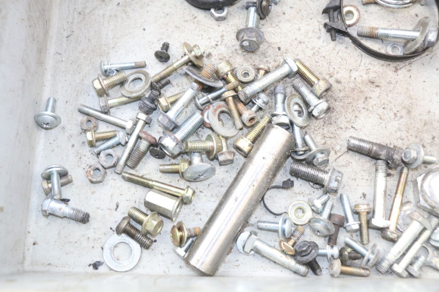 photo de SACCHETTO VITI VITE HYOSUNG AQUILA GV 125 (2009 - 2016) - Dettaglio del componente