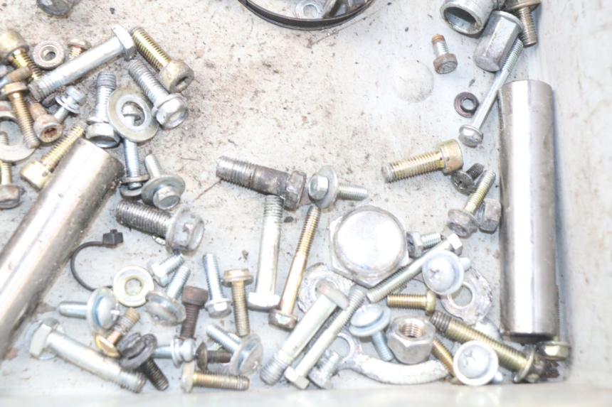 photo de SACCHETTO VITI VITE HYOSUNG AQUILA GV 125 (2009 - 2016) - Zoom sullo stato d'uso