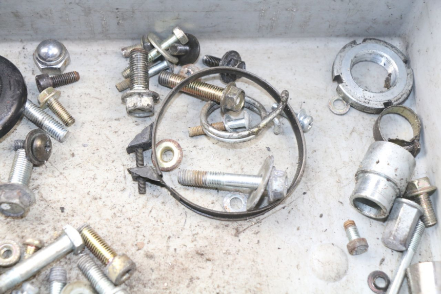 photo de SACCHETTO VITI VITE HYOSUNG AQUILA GV 125 (2009 - 2016) - Altra angolazione