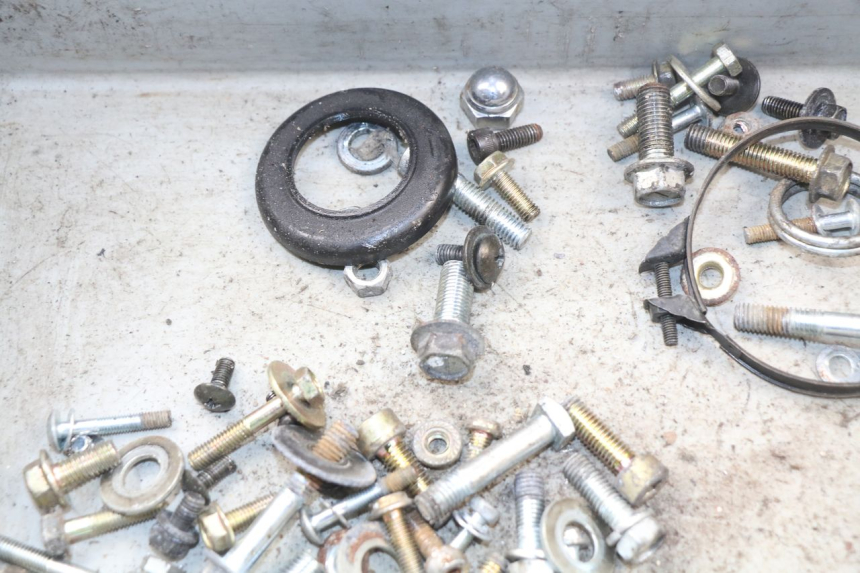 photo de SACCHETTO VITI VITE HYOSUNG AQUILA GV 125 (2009 - 2016) - Primo piano tecnico