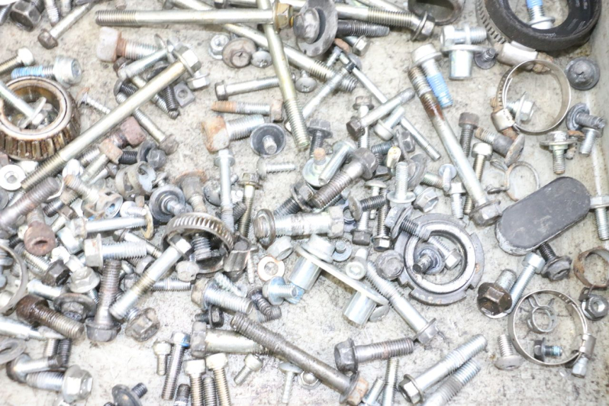 photo de VITI SUZUKI BURGMAN 650 (2013 - 2020) - Dettaglio del componente