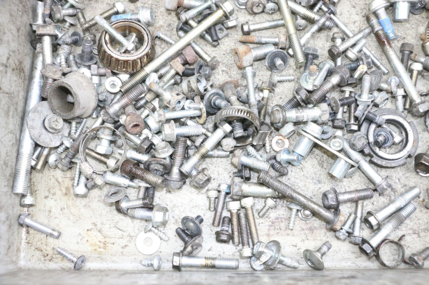 photo de VITI SUZUKI BURGMAN 650 (2013 - 2020) - Altra angolazione