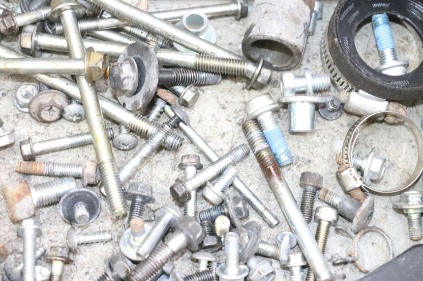 photo de VITI SUZUKI BURGMAN 650 (2013 - 2020) - Vista d'insieme del prodotto