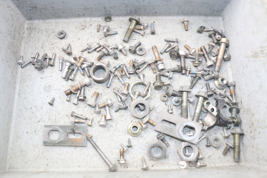 photo de SACCHETTO VITI VITE ERIDER CARGO 1 (2009 - 2018) - Vista principale