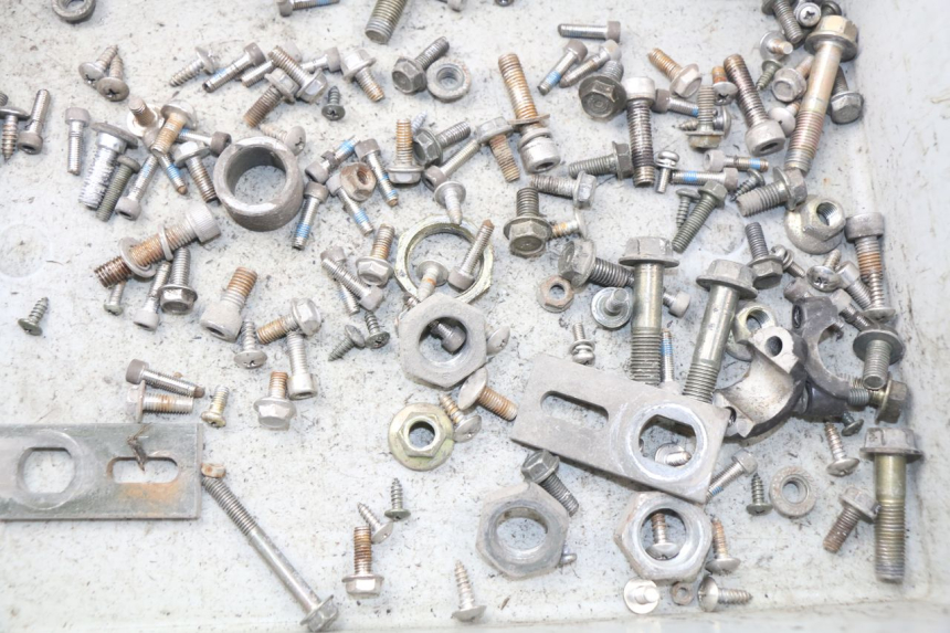 photo de SACCHETTO VITI VITE ERIDER CARGO 1 (2009 - 2018) - Dettaglio del componente