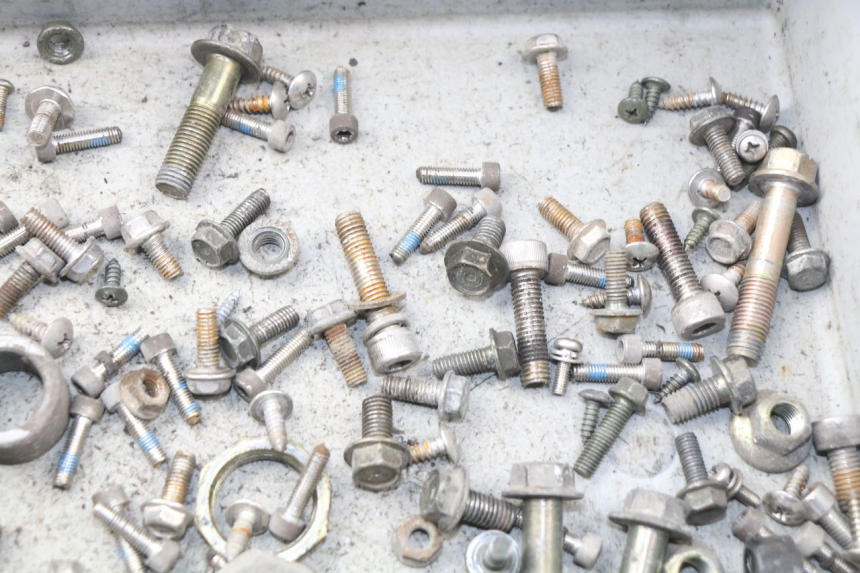 photo de SACCHETTO VITI VITE ERIDER CARGO 1 (2009 - 2018) - Zoom sullo stato d'uso