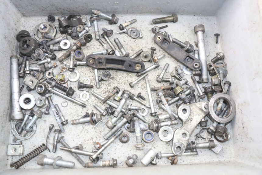 photo de SAC VITI VITE PIAGGIO CARNABY 125 (2007 - 2011) - Vista principale