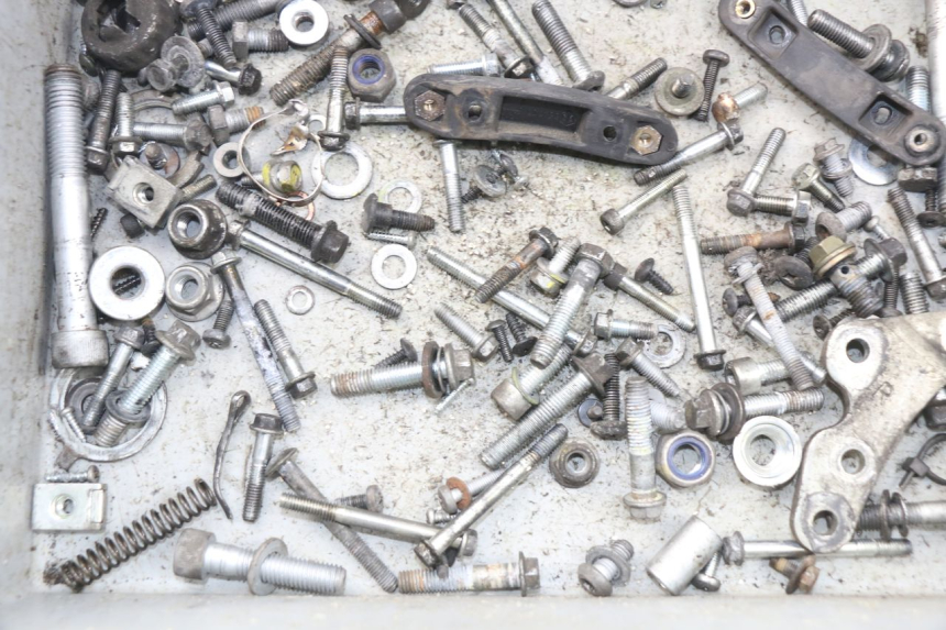 photo de SAC VITI VITE PIAGGIO CARNABY 125 (2007 - 2011) - Zoom sullo stato d'uso