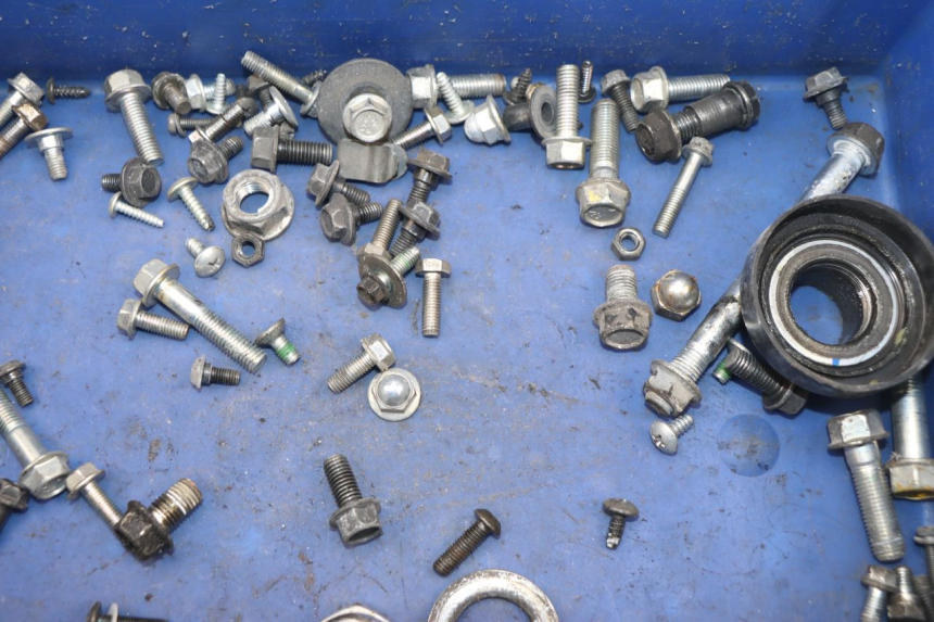 photo de SACCHETTO VITI VITE HONDA CBF 125 (2009 - 2015) - Dettaglio del componente