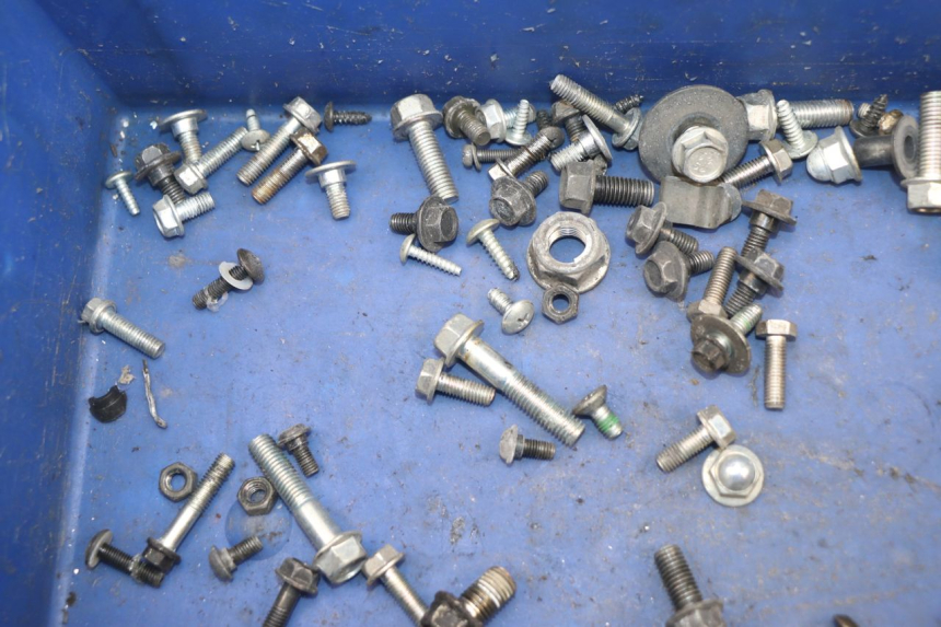 photo de SACCHETTO VITI VITE HONDA CBF 125 (2009 - 2015) - Primo piano tecnico