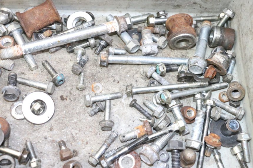 photo de SACCHETTO VITI VITE HONDA CBF 125 (2009 - 2015) - Primo piano tecnico