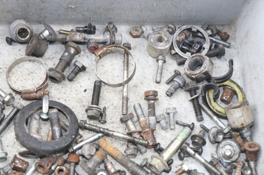 photo de SACCHETTO VITI VITE HONDA CBR F SC21 1000 (1986 - 1992) - Altra angolazione