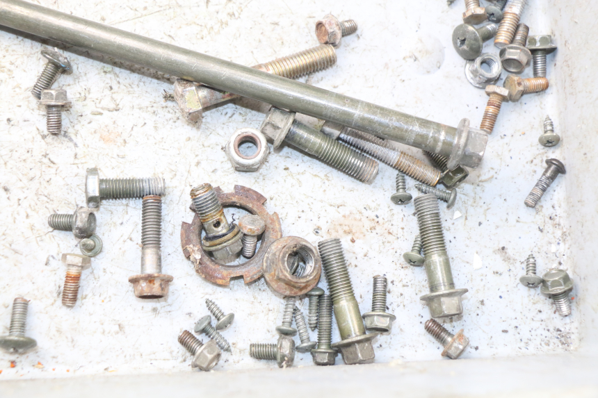 photo de SACCHETTO VITI VITE RIDE E1 1 (2014 - 2022) - Dettaglio del componente