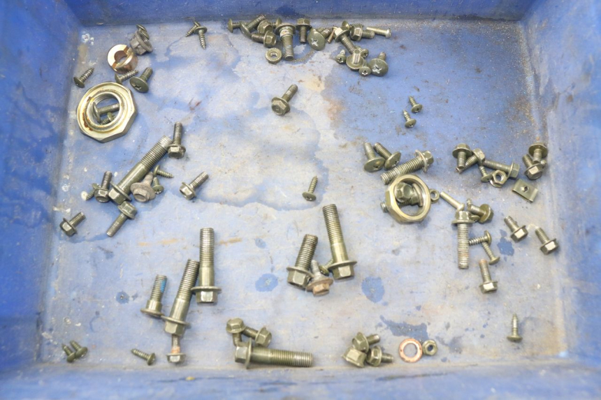 photo de SACCHETTO VITI VITE RIDE E1 1 (2014 - 2022) - Vista principale