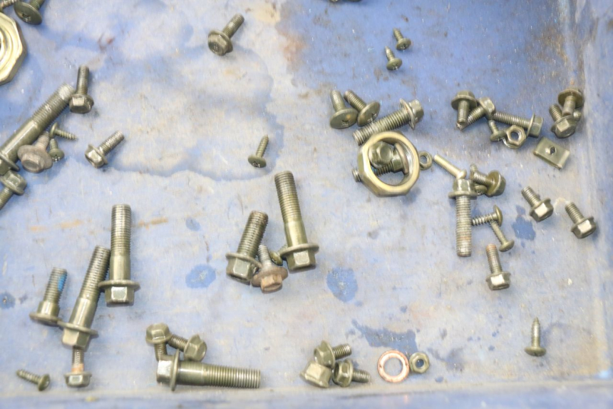 photo de SACCHETTO VITI VITE RIDE E1 1 (2014 - 2022) - Dettaglio del componente