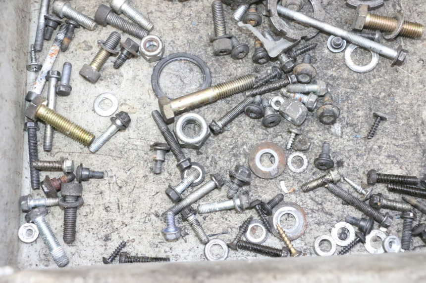 photo de SAC VITI VITE PEUGEOT ELYSTAR 50 (2002 - 2014) - Zoom sullo stato d'uso