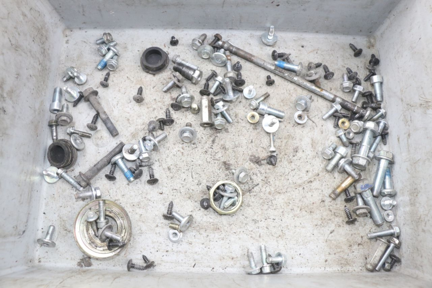 photo de SACCHETTO VITI VITE JM MOTORS F45i 4T 50 (2020 - 2023) - Vista principale