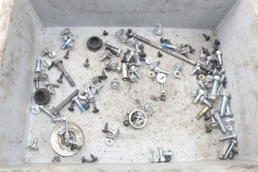 photo de SACCHETTO VITI VITE JM MOTORS F45i 4T 50 (2020 - 2023) - Dettaglio del componente