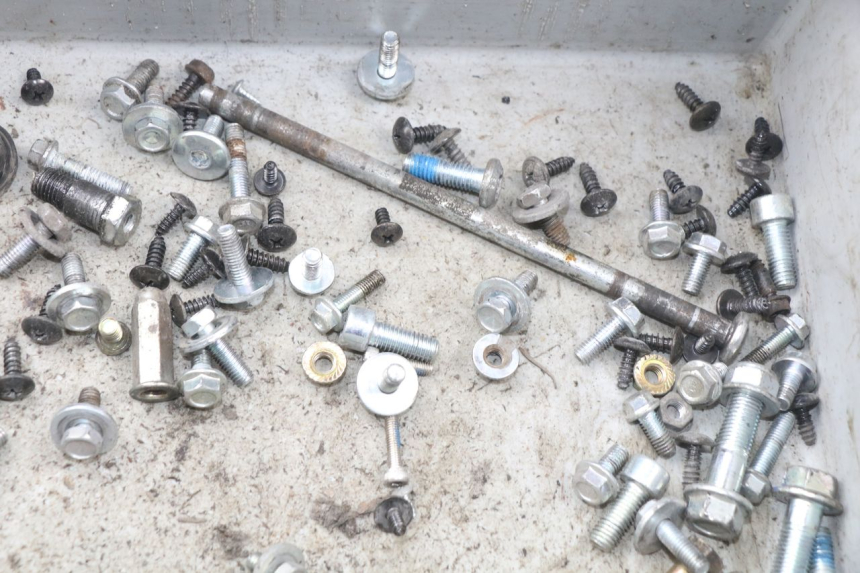 photo de SACCHETTO VITI VITE JM MOTORS F45i 4T 50 (2020 - 2023) - Altra angolazione