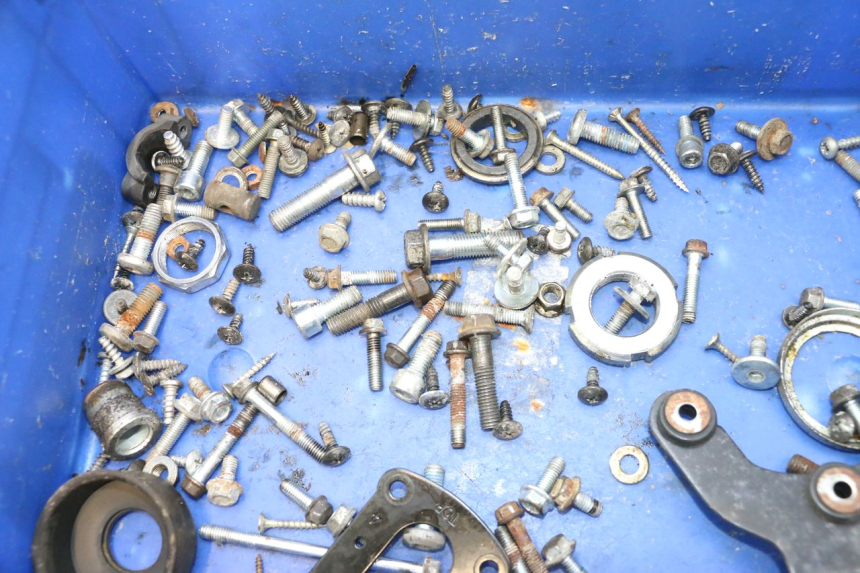 photo de SACCHETTO VITI VITE JM MOTORS F45i 4T 50 (2020 - 2023) - Dettaglio del componente