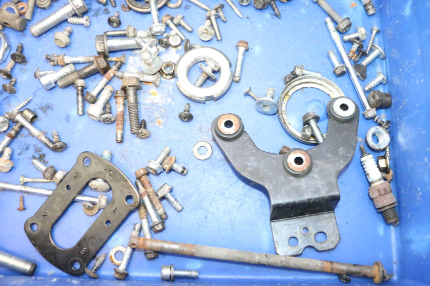 photo de SACCHETTO VITI VITE JM MOTORS F45i 4T 50 (2020 - 2023) - Primo piano tecnico