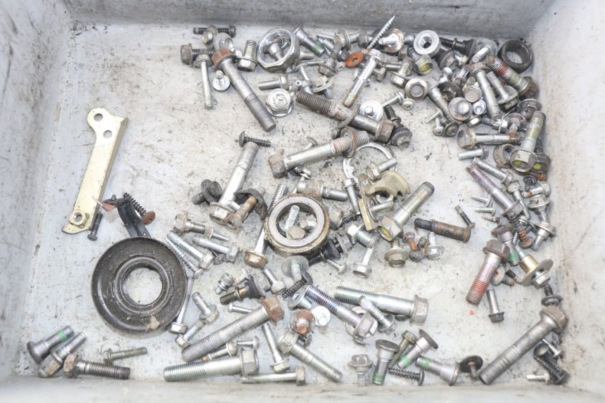 photo de SAC VITI BULLONE HONDA FES PANTHEON 125 (2003 - 2007) - Vista principale