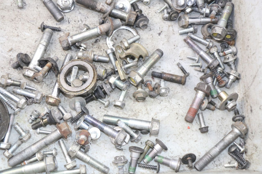 photo de SAC VITI BULLONE HONDA FES PANTHEON 125 (2003 - 2007) - Zoom sullo stato d'uso