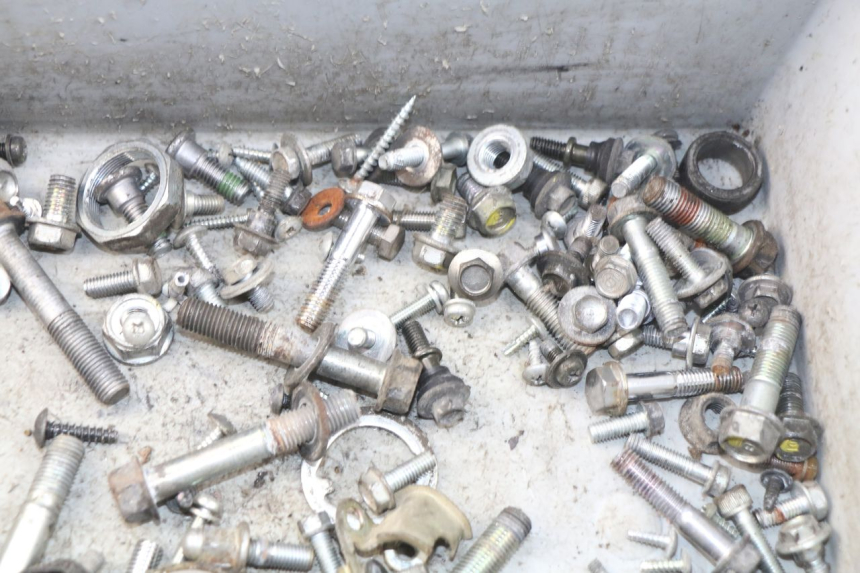 photo de SAC VITI BULLONE HONDA FES PANTHEON 125 (2003 - 2007) - Altra angolazione