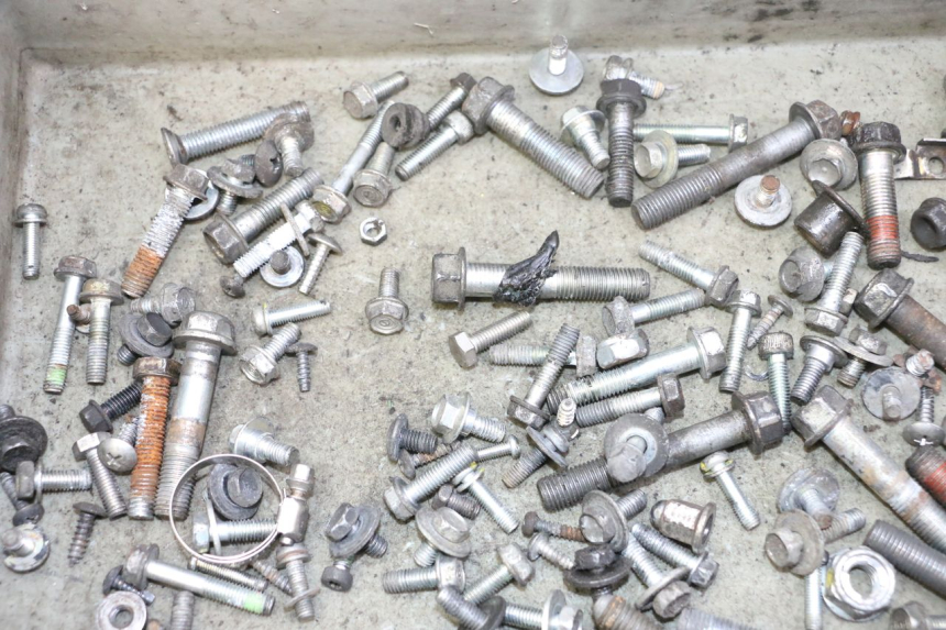 photo de SAC VITI BULLONE HONDA FES S-WING SWING ABS 125 (2007 - 2015) - Zoom sullo stato d'uso