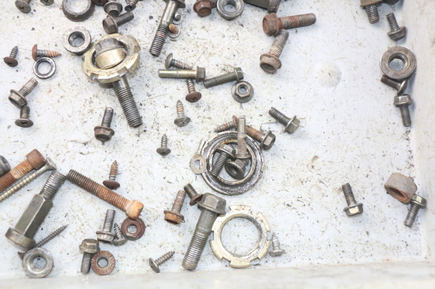 photo de SACCHETTO VITI VITE LINTEX FEVER 2T 50 (2009 - 2022) - Zoom sullo stato d'uso