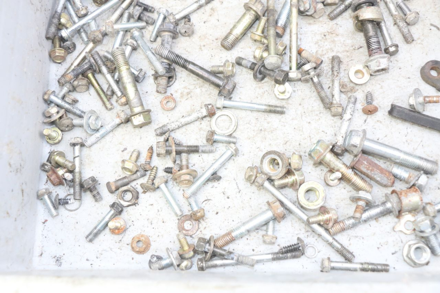 photo de SAC VITI VITE SYM FIDDLE 2 50 (2008 - 2013) - Zoom sullo stato d'uso