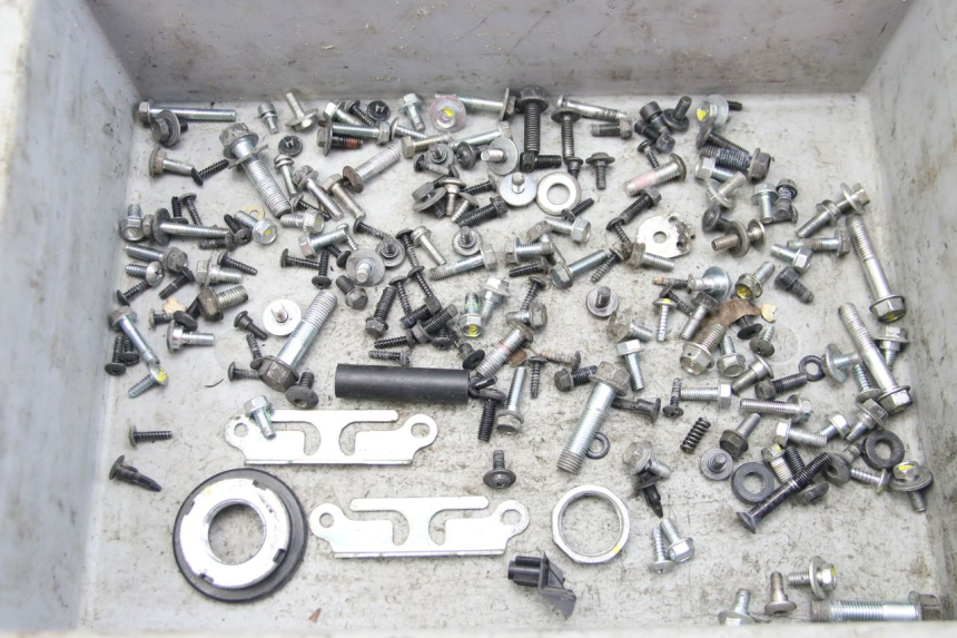 photo de SAC VITI VITE HONDA FORZA 125 (2015 - 2016) - Vista principale