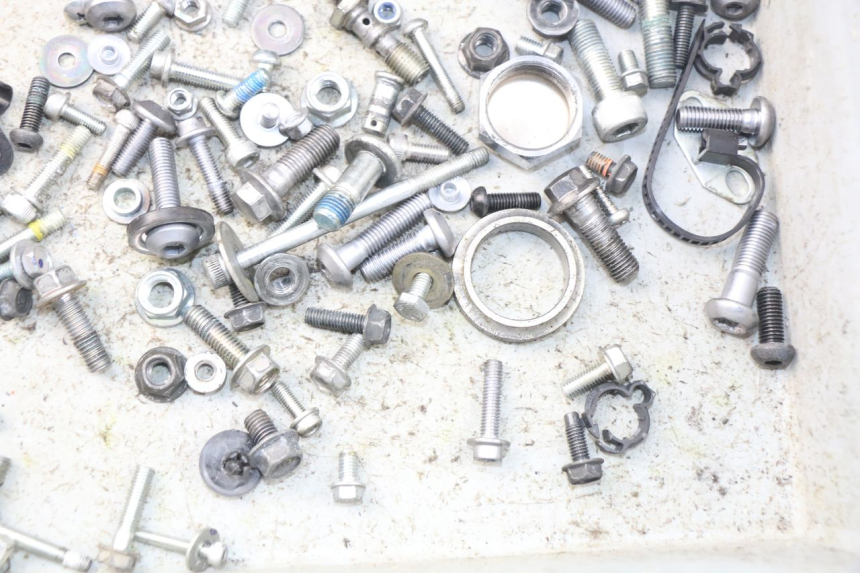 photo de SACCHETTO VITI VITE YAMAHA FZ8 800 (2010 - 2016) - Zoom sullo stato d'uso