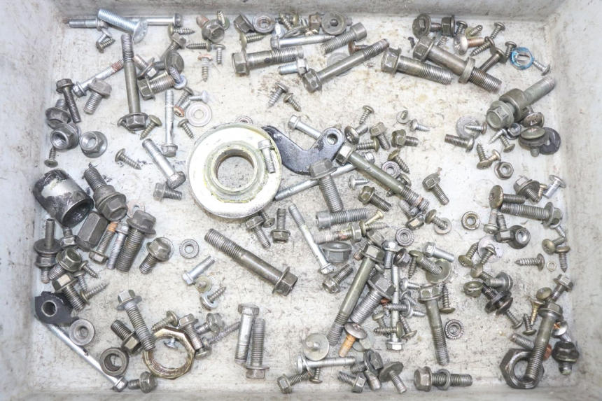 photo de SAC VITI VITE REVATTO IMPERATOR 125 (2007 - 2015) - Vista principale