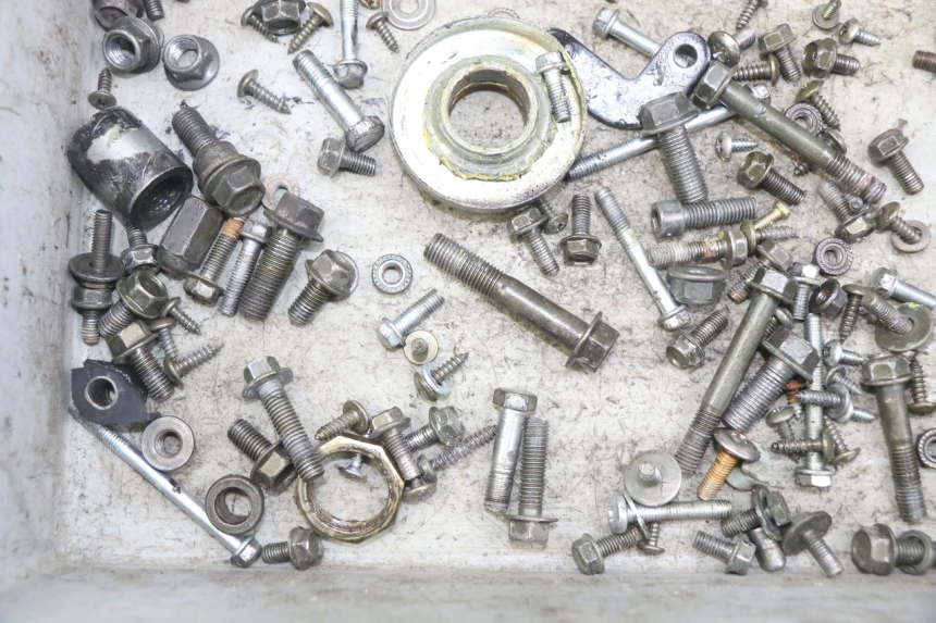 photo de SAC VITI VITE REVATTO IMPERATOR 125 (2007 - 2015) - Dettaglio del componente