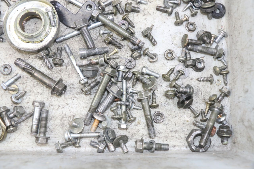 photo de SAC VITI VITE REVATTO IMPERATOR 125 (2007 - 2015) - Zoom sullo stato d'uso