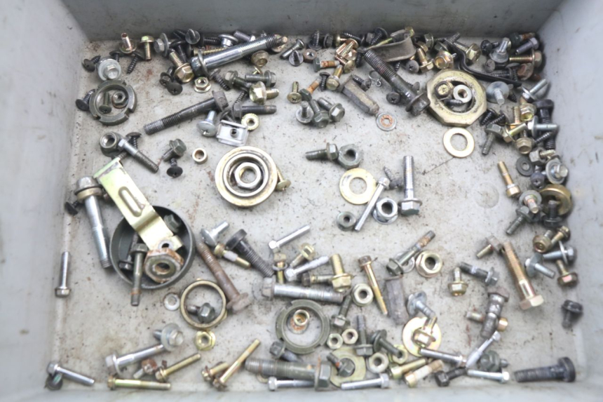 photo de SACCHETTO VITI VITE SYM JET 4 50 (2010 - 2014) - Vista principale