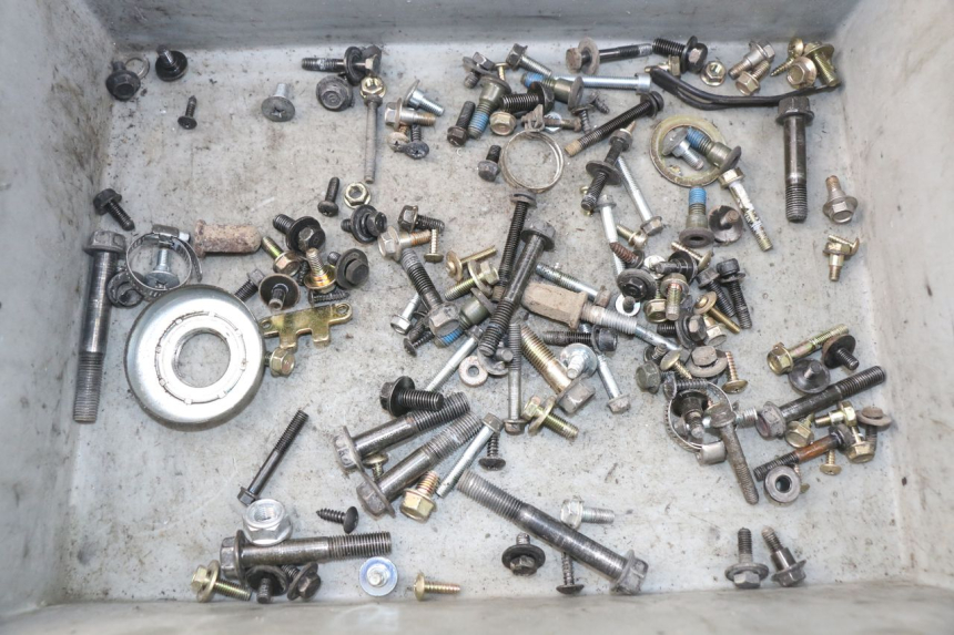 photo de SAC VITI BULLONE SYM JOYMAX 250 (2013 - 2017) - Vista principale