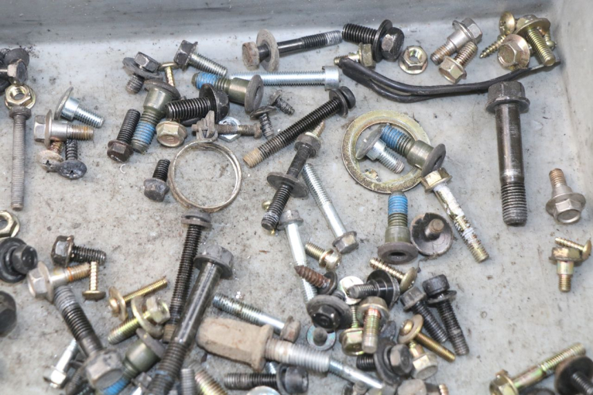 photo de SAC VITI BULLONE SYM JOYMAX 250 (2013 - 2017) - Altra angolazione