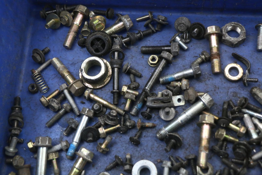 photo de SACCHETTO VITI VITE SYM JOYRIDE EVO 125 (2009 - 2016) - Dettaglio del componente