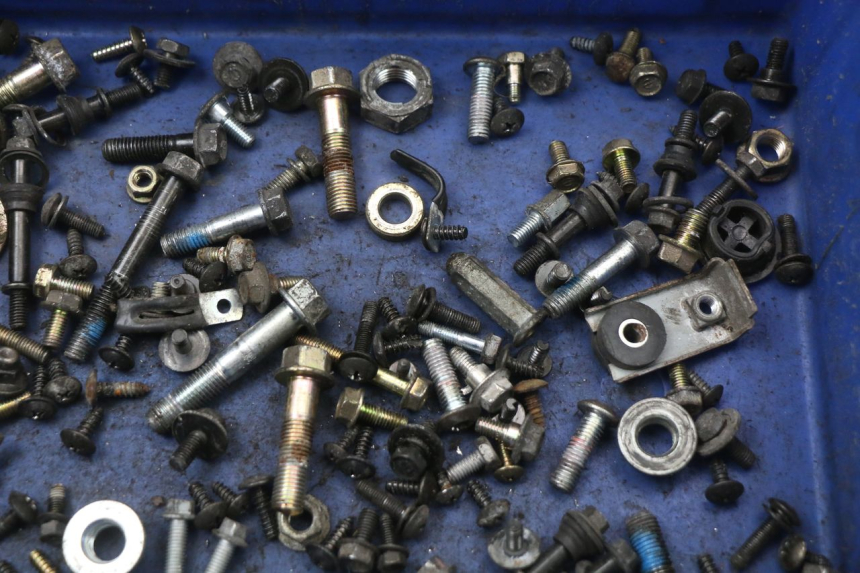 photo de SACCHETTO VITI VITE SYM JOYRIDE EVO 125 (2009 - 2016) - Zoom sullo stato d'uso