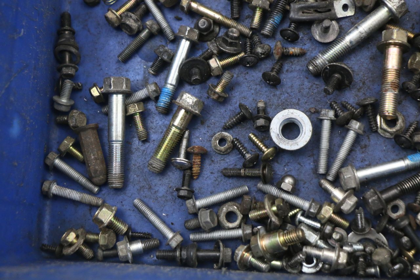 photo de SACCHETTO VITI VITE SYM JOYRIDE EVO 125 (2009 - 2016) - Altra angolazione