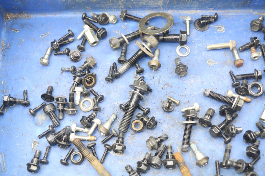 photo de SAC VITI BULLONE PEUGEOT KISBEE 4T 50 (2018 - 2022) - Zoom sullo stato d'uso