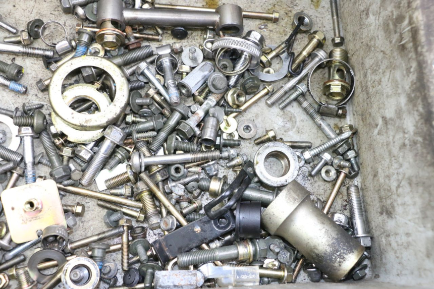 photo de SACCHETTO VITI VITE KYMCO XCITING 500 (2007 - 2010) - Dettaglio del componente