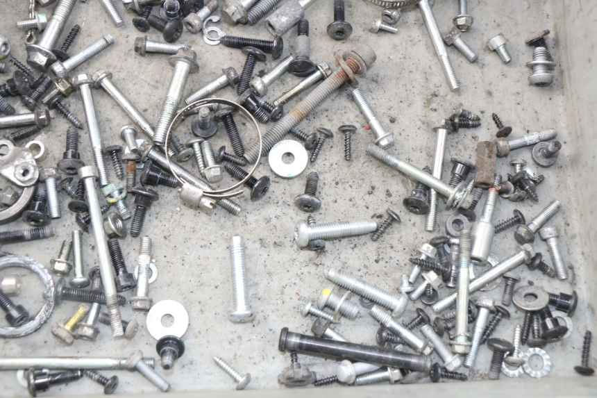 photo de SAC VITI VITE PIAGGIO LIBERTY IGET 4T 50 (2015 - 2020) - Zoom sullo stato d'uso